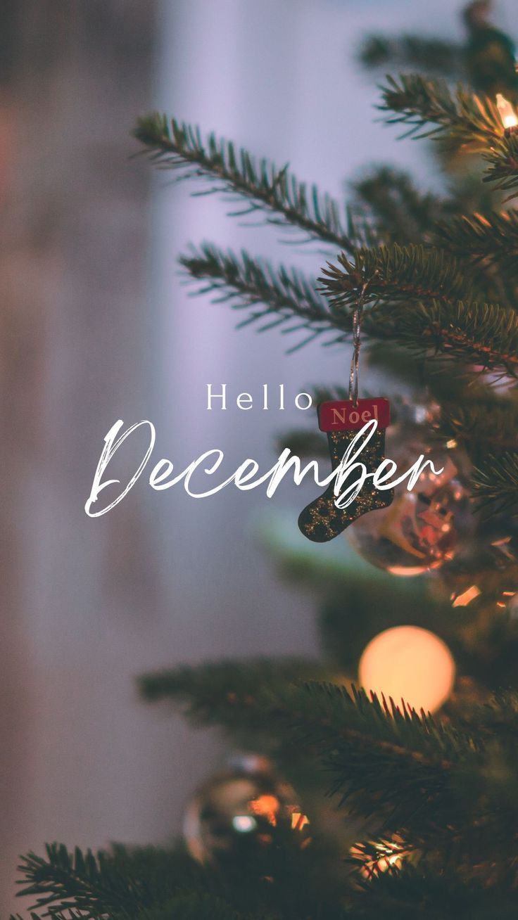 a christmas tree with the words hello december on it