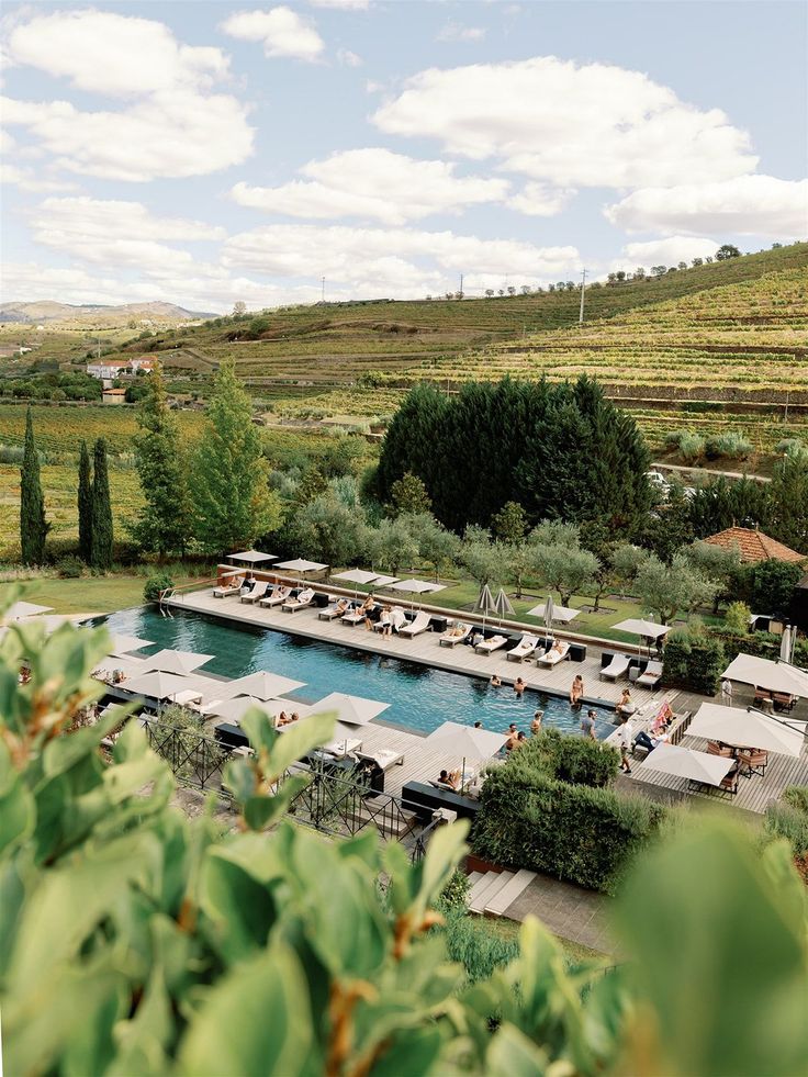 an outdoor swimming pool surrounded by greenery and trees