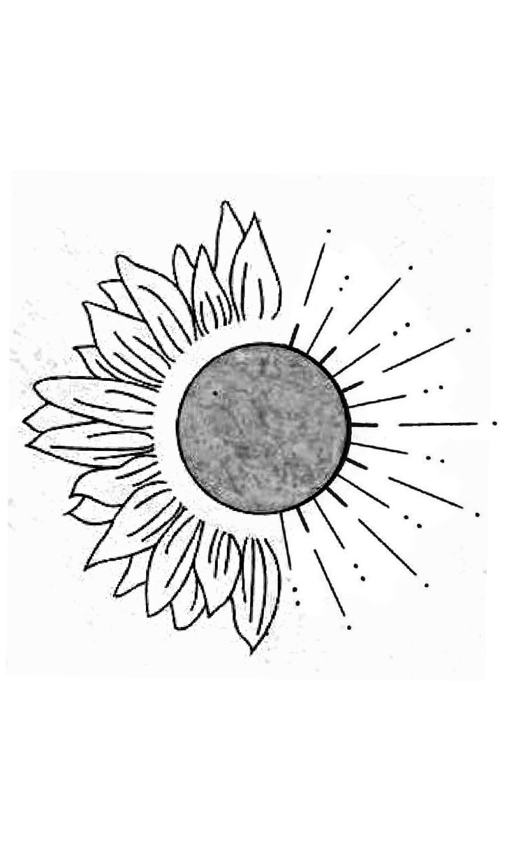 a drawing of a sunflower with rays coming out of the center and behind it