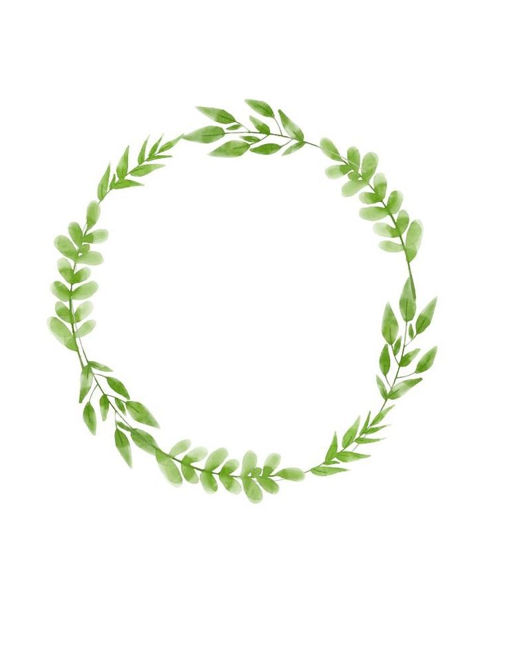 a wreath made out of green leaves on a white background