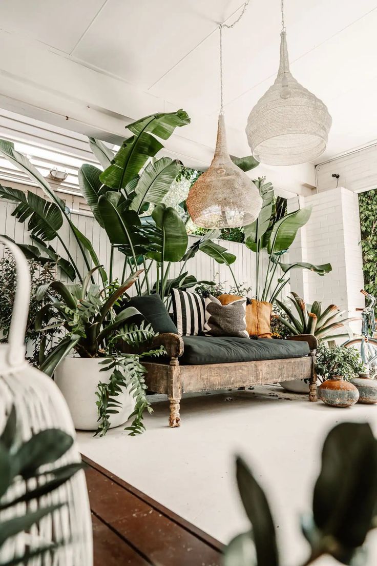 a living room filled with lots of green plants