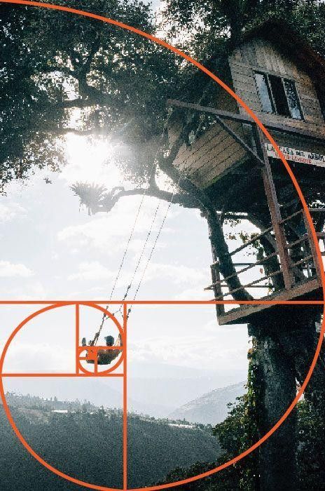 a tree house in the middle of a forest with an orange circle around it and a man on a swing