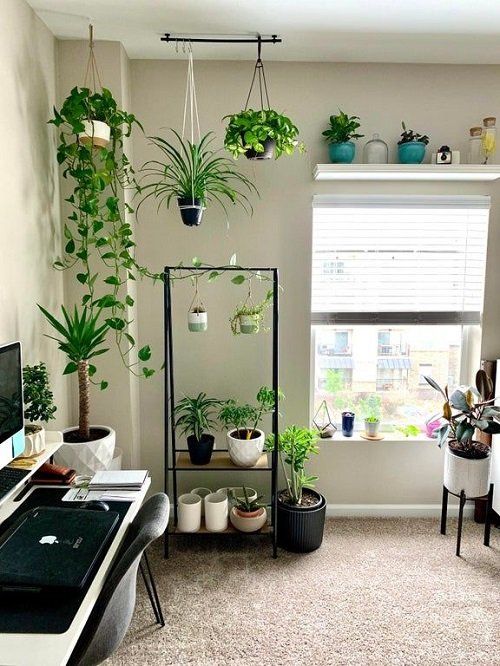 a living room filled with lots of potted plants next to a computer desk and window