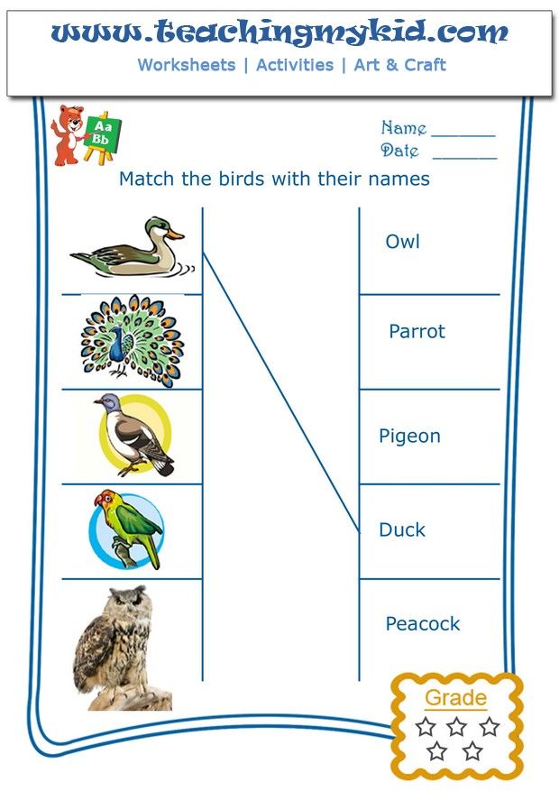 the body parts worksheet for kids to learn with pictures and words on it