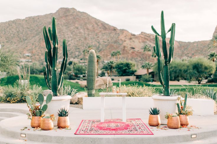 some cactus plants are in pots and on the ground next to a fountain with a rug