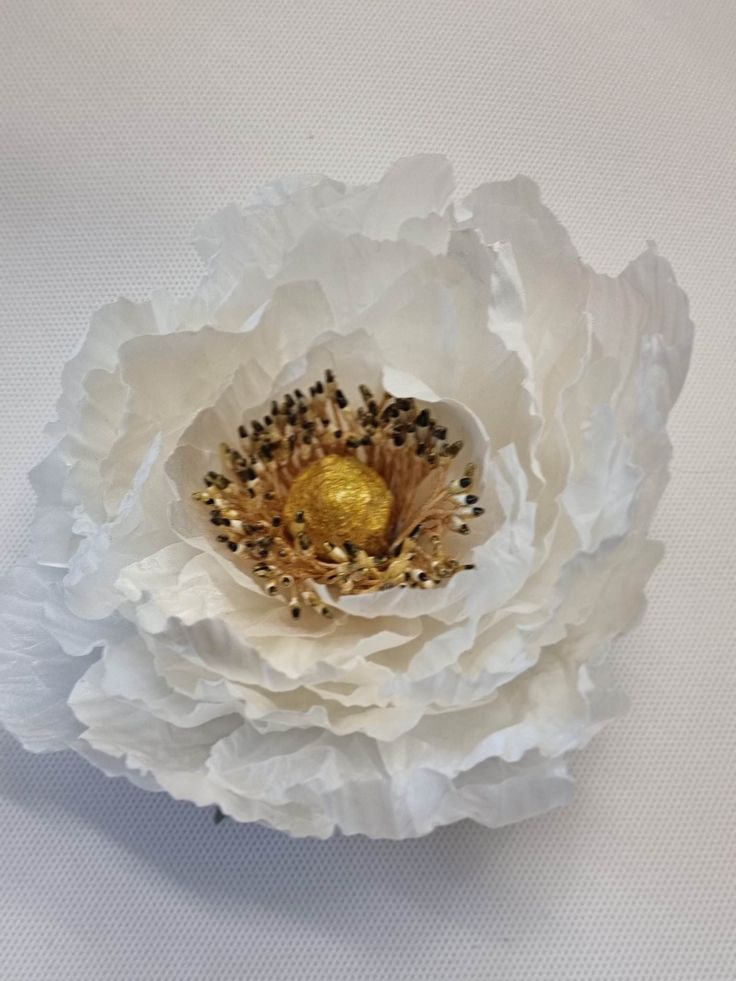 a white flower with gold center sitting on top of a table