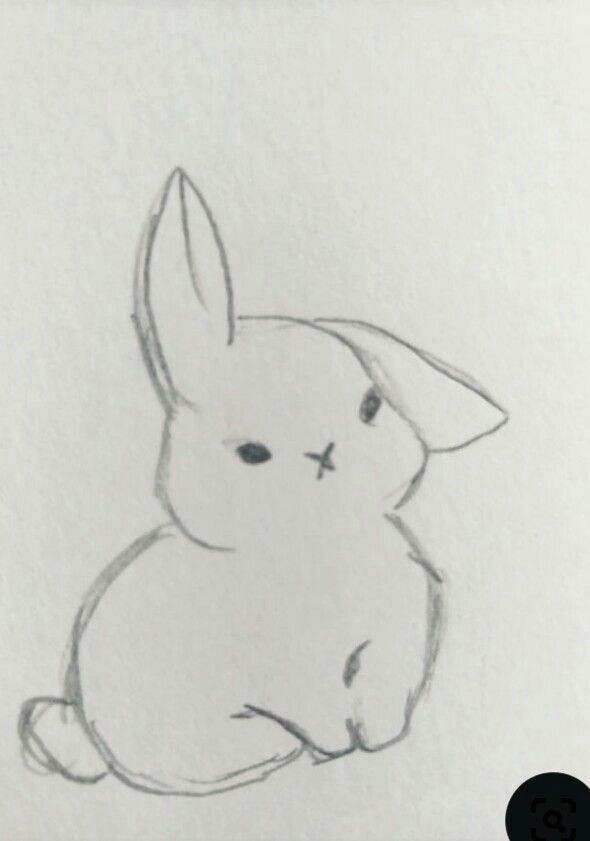 a pencil drawing of a rabbit sitting down