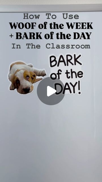 a sign that says bark of the day with an image of a dog