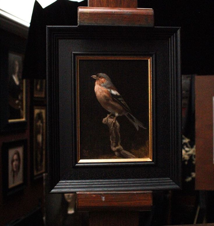 a painting of a bird sitting on top of a wooden table next to framed pictures