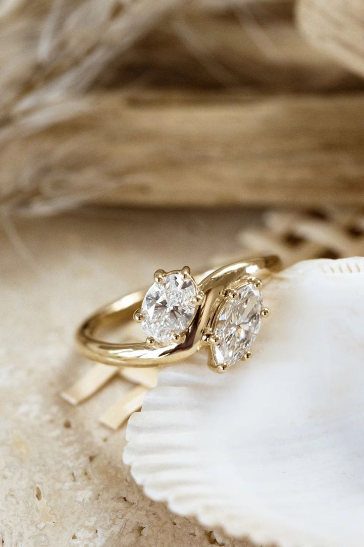 two diamond rings sitting on top of a shell