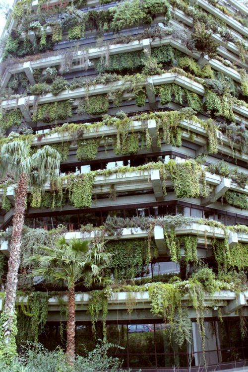 a very tall building covered in lots of plants