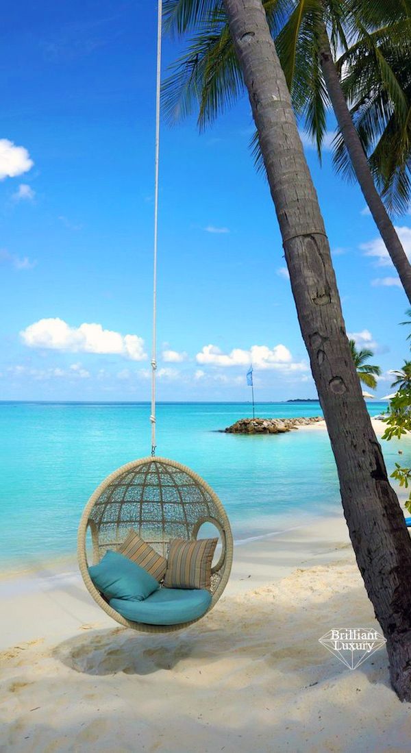 a hammock hanging from the side of a palm tree on a tropical beach