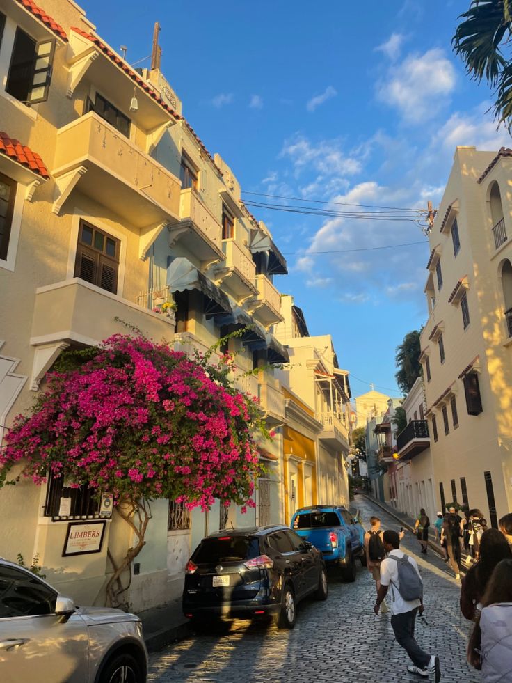 people are walking down the street in front of some buildings with flowers growing on them