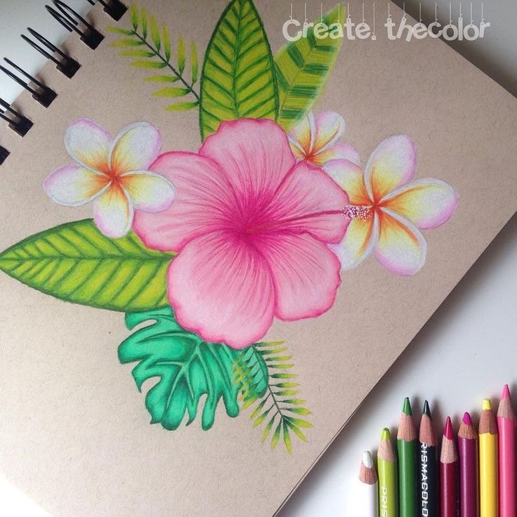 a drawing with colored pencils next to it and some flowers on the paper in front of them