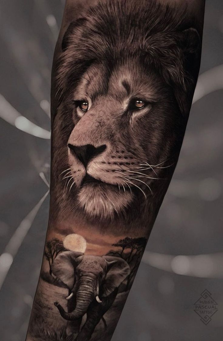 Tattoo Inspiration 2022: Lion Tattoos Realistic Elephant Tattoo, African Sleeve Tattoo, Lion Forearm Tattoos, Jungle Tattoo, Africa Tattoos, Animal Sleeve, Animal Sleeve Tattoo, Tier Tattoo, Cute Cat Tattoo