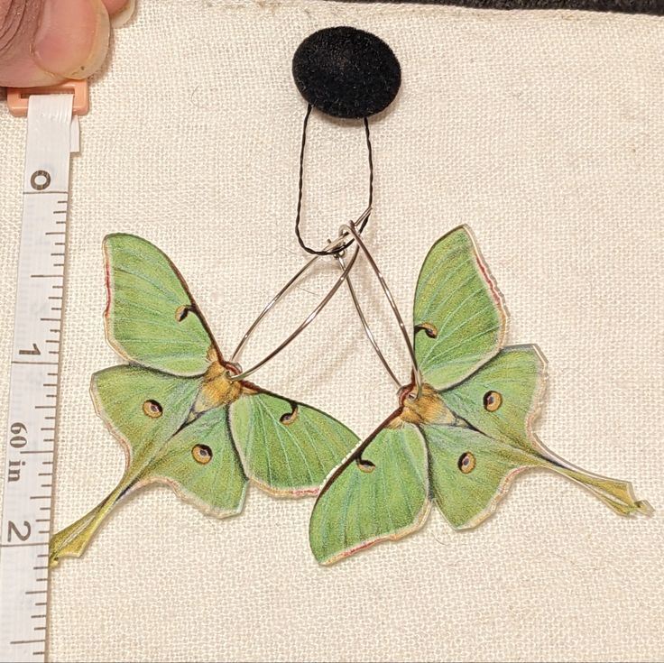 a close up of a butterfly on a piece of cloth with a ruler in front of it