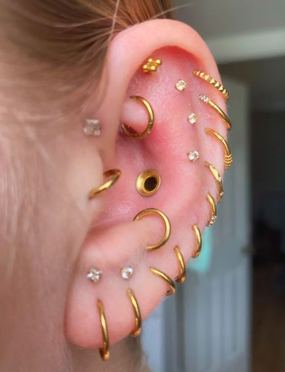 an ear with several different types of piercings on it's ears and nose