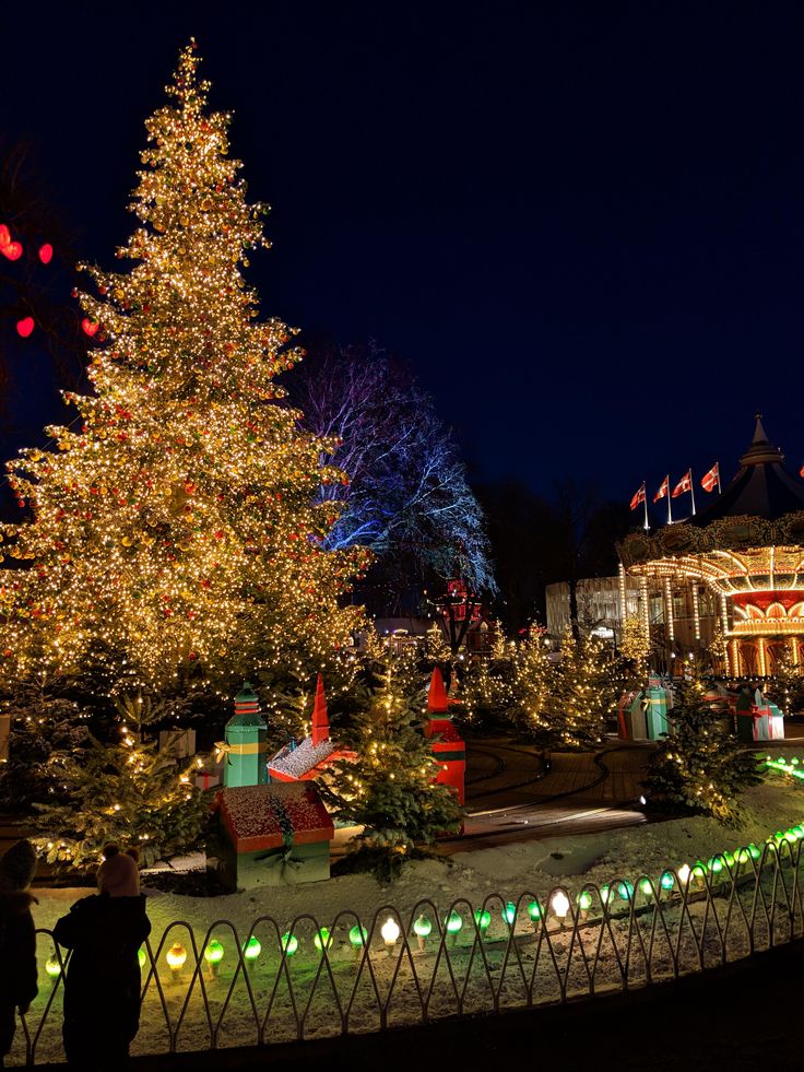 a christmas tree is lit up at night