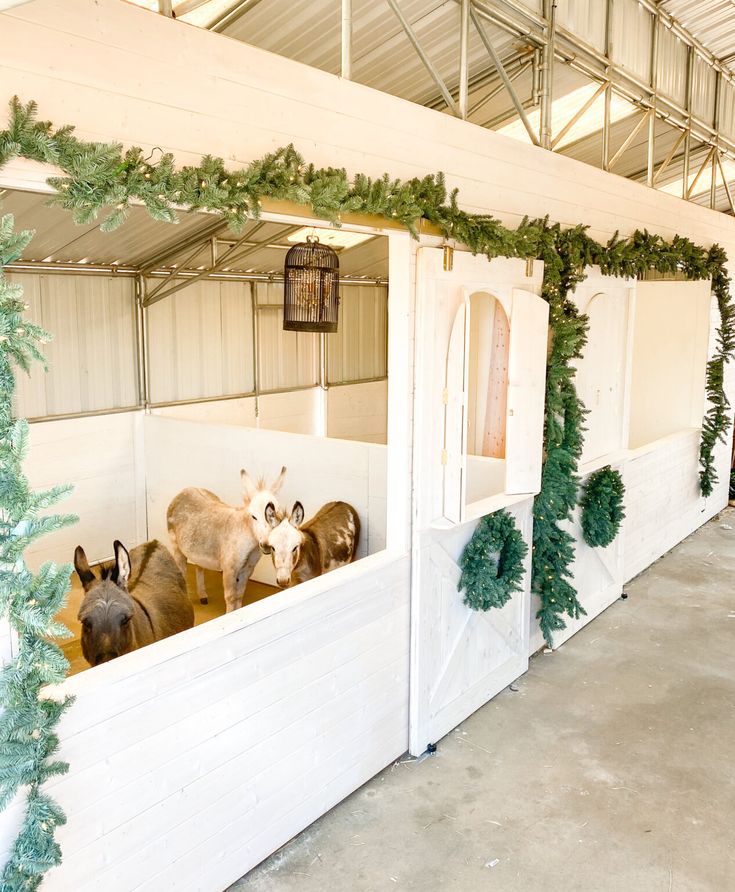 horses are lined up in their stalls with christmas garland on the wall and trees around them