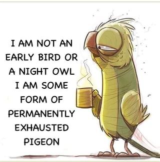 I AM NOT AN EARLY BIRD OR A NIGHT OWL Y I AM SOME FORM OF PERMANENTLY EXHAUSTED PIGEON – popular memes on the site iFunny.co Permanently Exhausted Pigeon, Koci Humor, Funny Cartoon Quotes, Cartoon Quotes, Sarcastic Quotes Funny, Early Bird, E Card, Quotable Quotes, Sarcastic Quotes