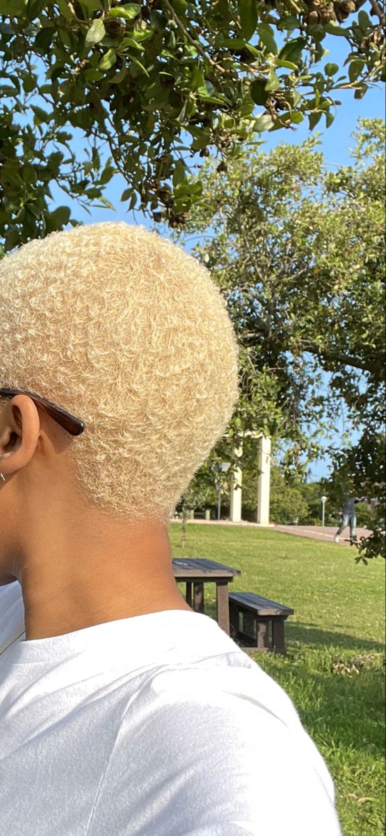 Bleached Short Hair, Buzz Cut Black Women, Bleaching Black Hair, Chop Hairstyles, Blonde Twa, Low Cut Hairstyles, Short Bleached Hair, Hair Ideas For Women, Big Chop Natural Hair