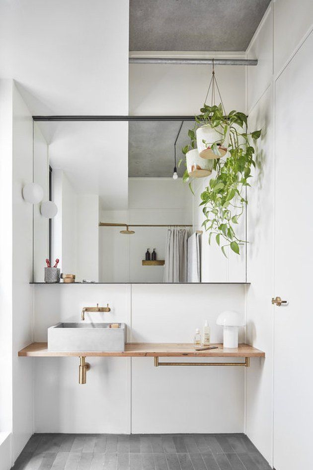 a bathroom with a sink, mirror and plant in it