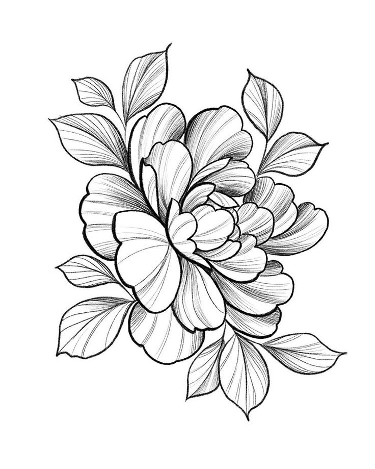 a black and white drawing of a large flower with leaves on it's petals