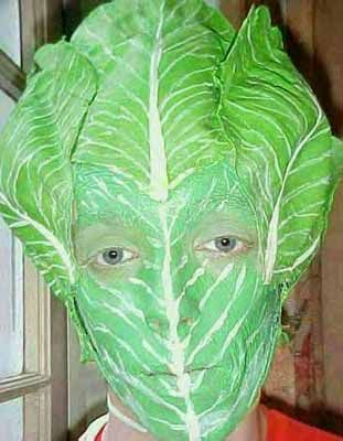 a man with green leaves on his face wearing a paper mache headdress