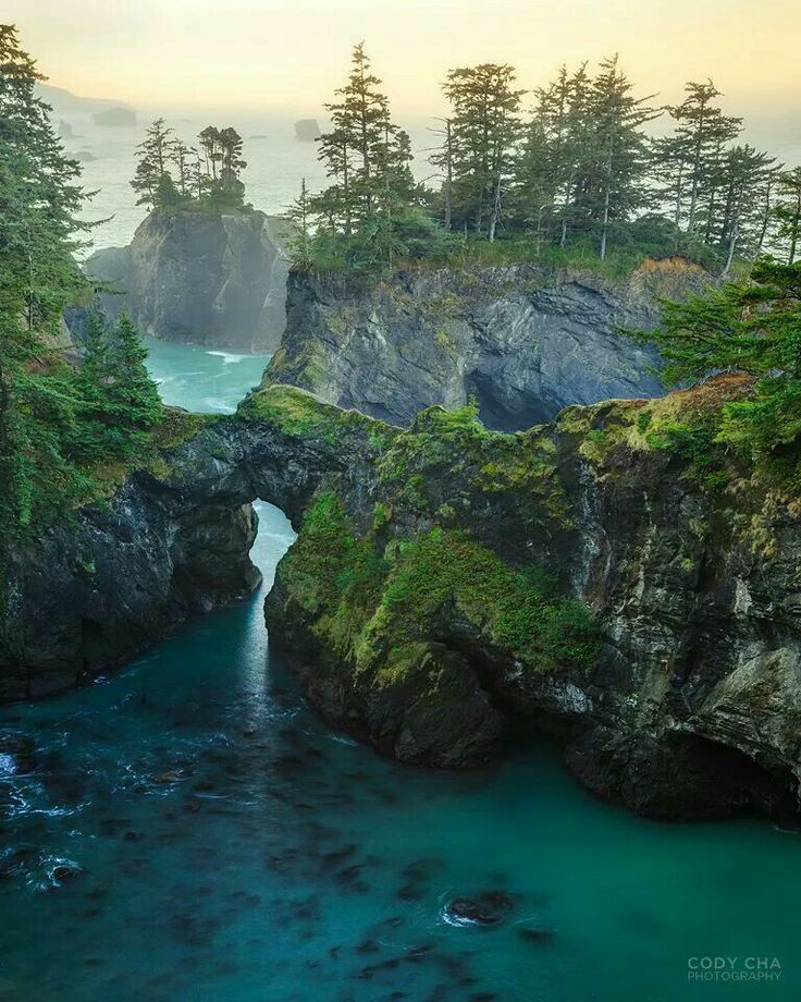 an aerial view of the ocean with trees and rocks in the foreground, near to some cliffs