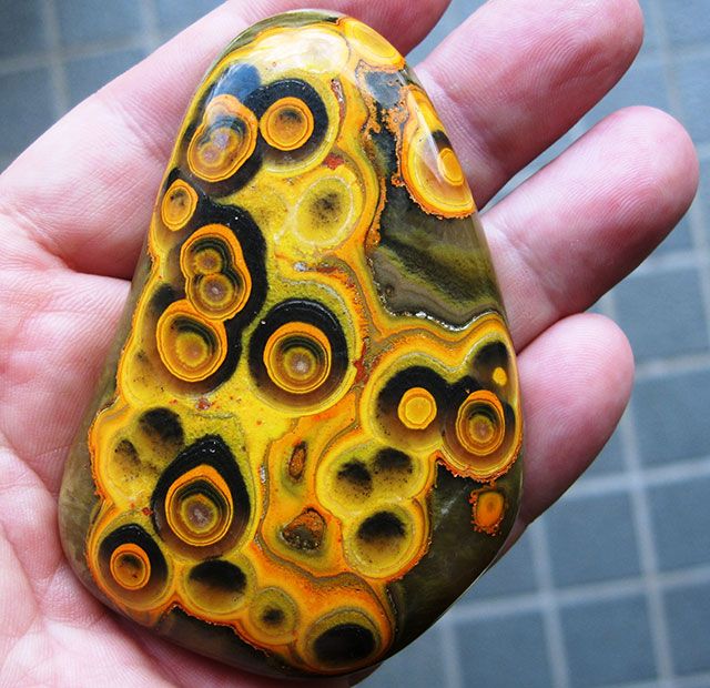 Bumblebee Jasper .. Yeah.. Nature created this mineral art piece! Bumblebee Jasper, Geology Rocks, Bumble Bee Jasper, Pretty Rocks, Crystal Magic, Beautiful Rocks, Mineral Stone, Minerals And Gemstones, Rocks And Gems