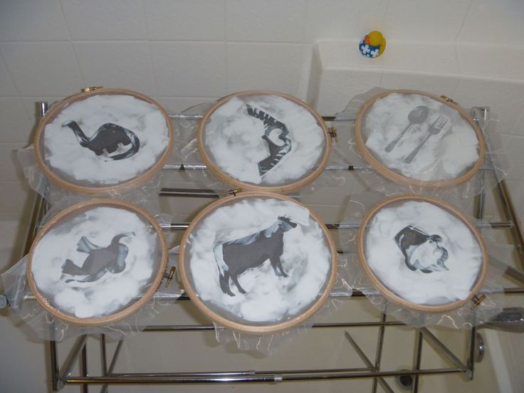 six plates with animals on them sitting on a rack