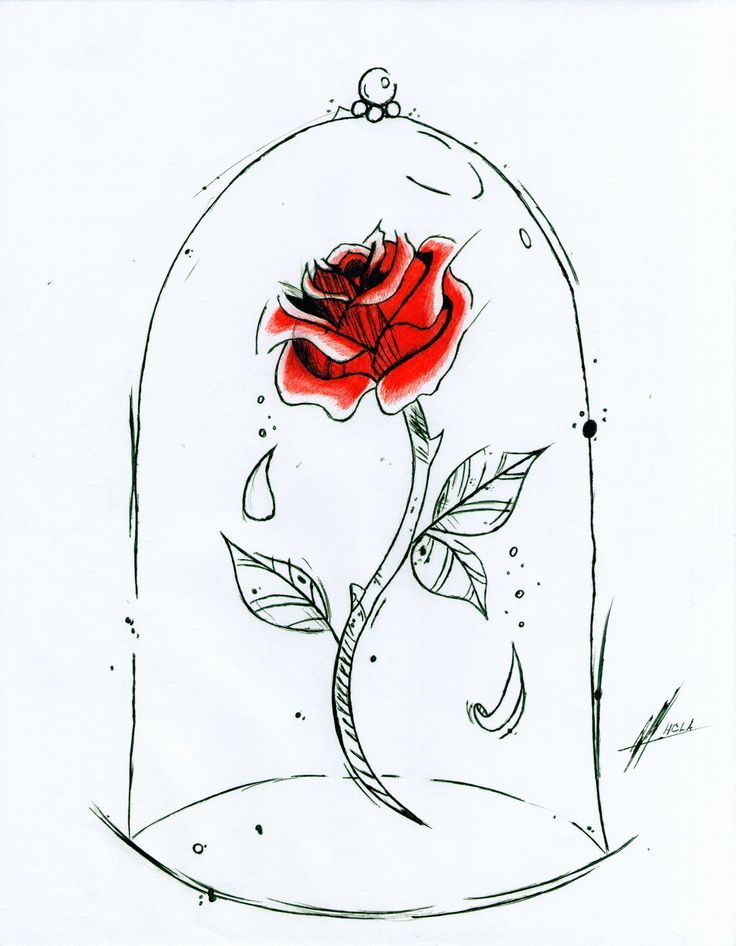 a drawing of a red rose in a glass dome