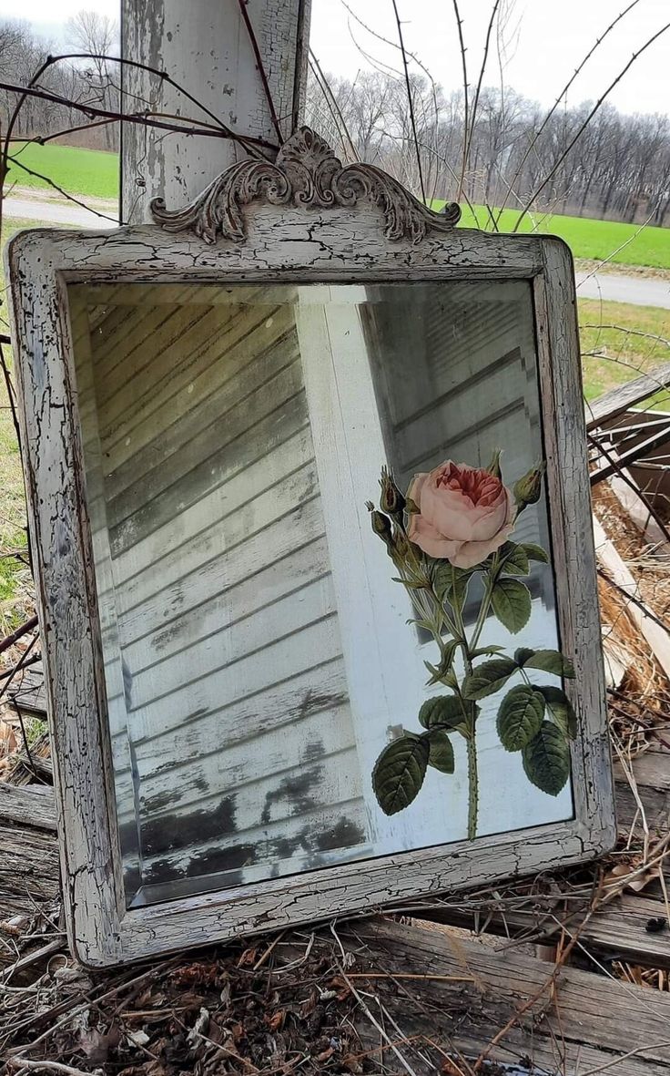 an old mirror with a flower in the reflection