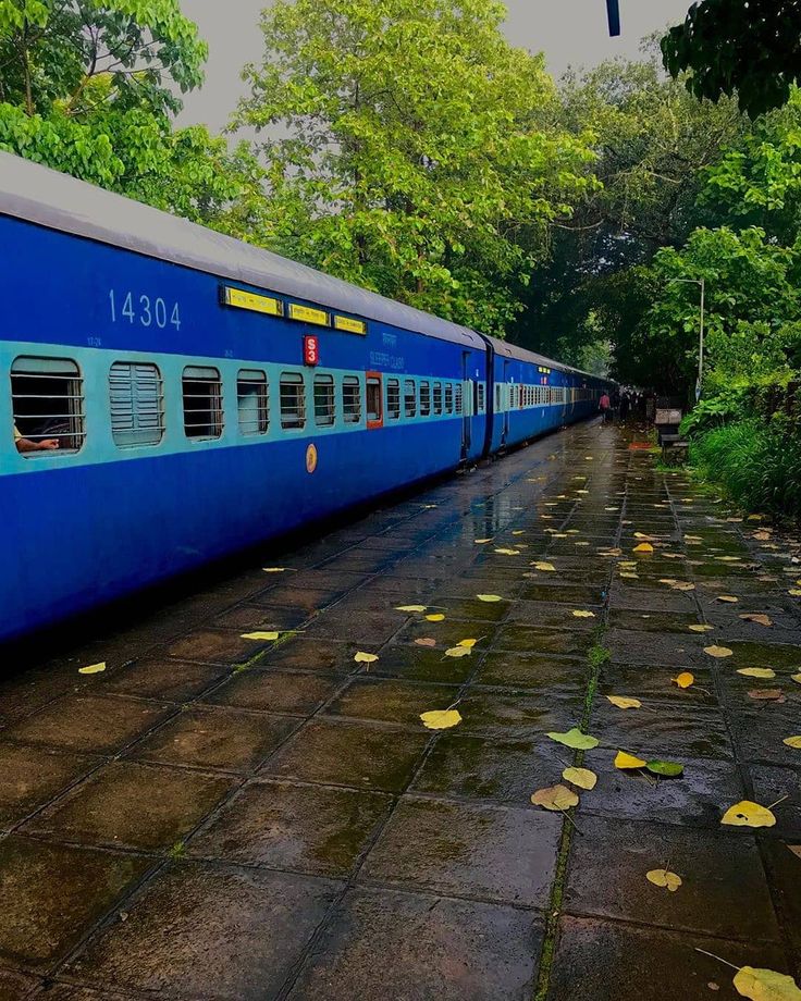 a blue train parked on the side of a road next to trees and leaves in the rain