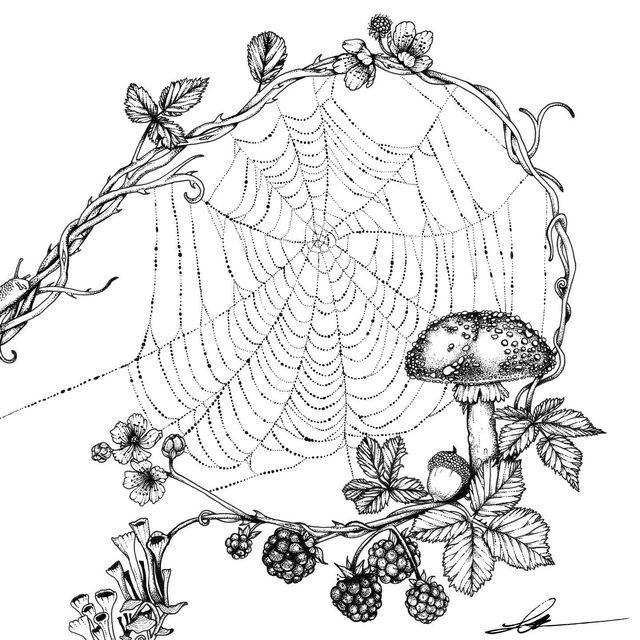 a black and white drawing of a spider web with berries, leaves and mushrooms on it