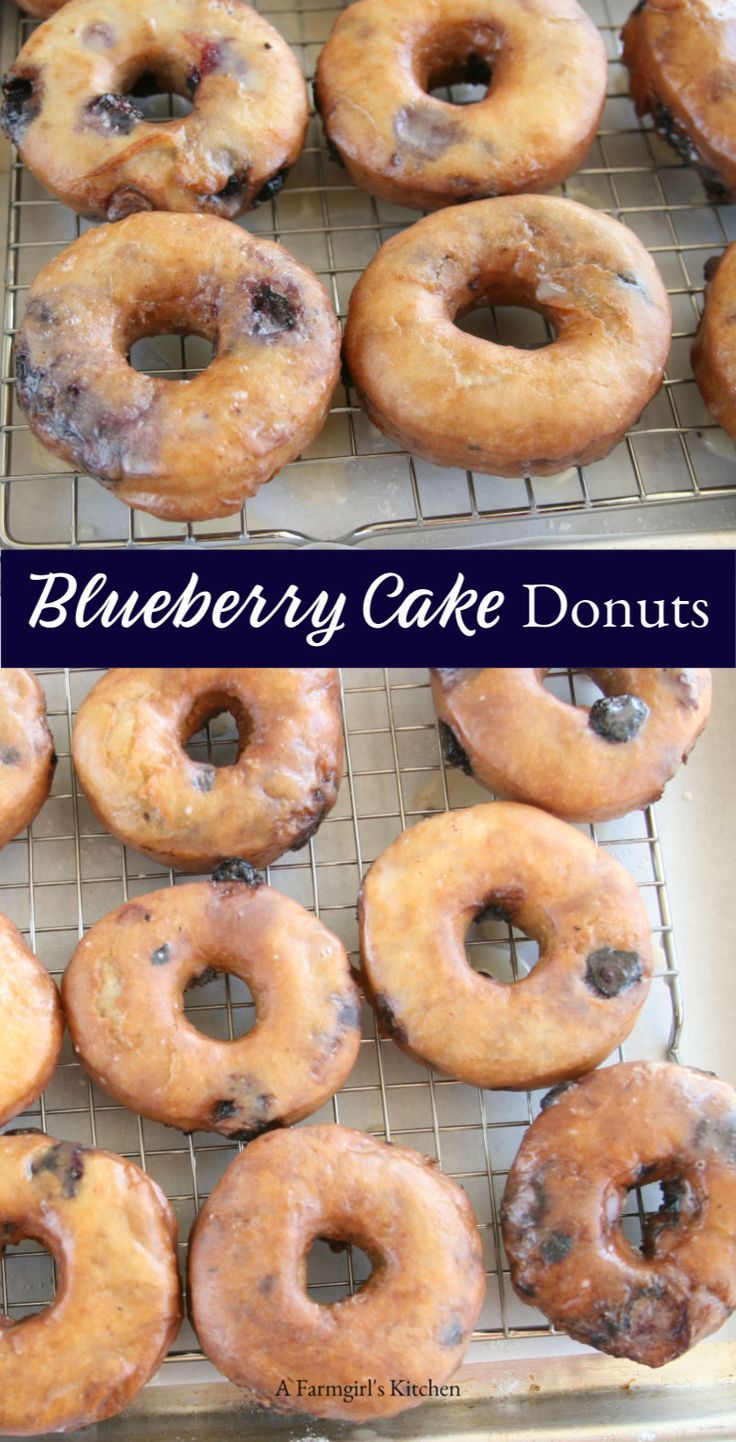 blueberry cake doughnuts on a cooling rack with the words blueberry cake doughnuts above them