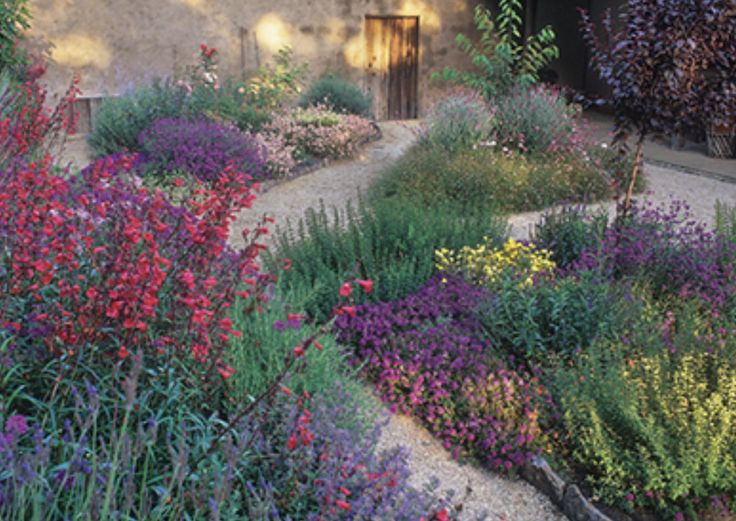 the garden is full of colorful flowers and plants