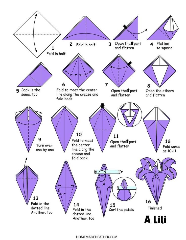 how to make an origami bird with pictures and instructions - step by step