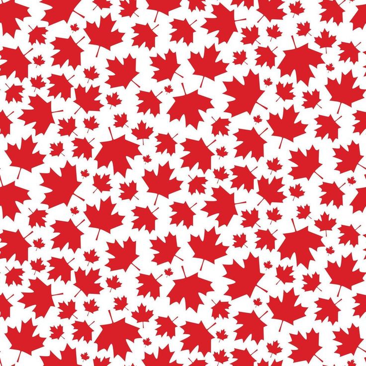 red and white maple leaf pattern on a white background stock photo - 1307982