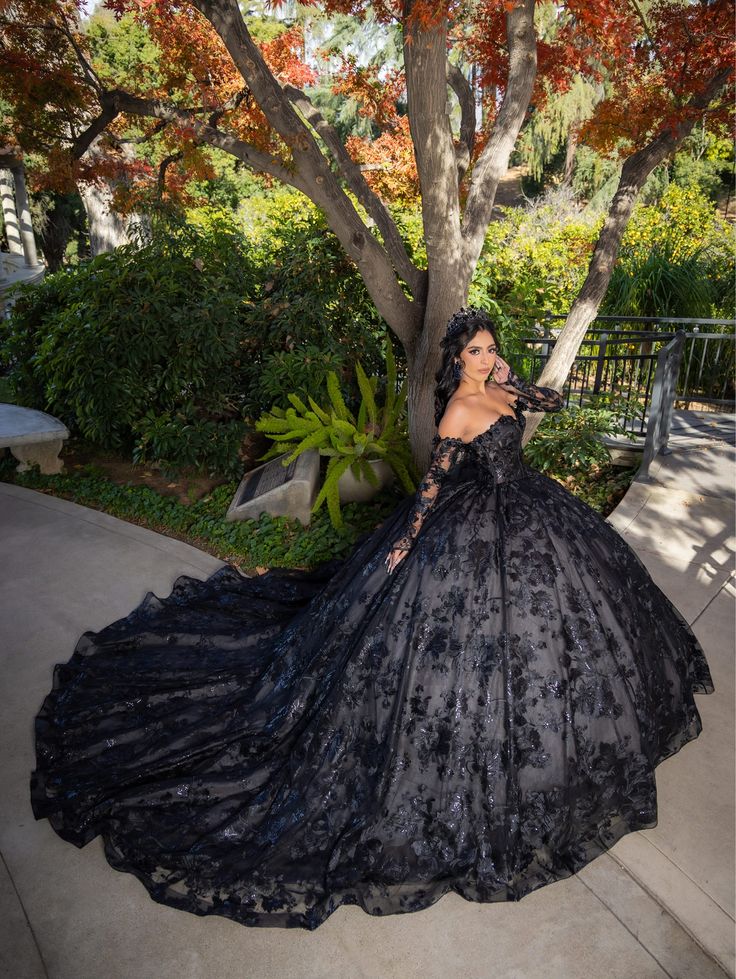 Quince Dress Bell Sleeves, Luxury Lace Ball Gown For Quinceanera, Luxury Long Sleeve Gown For Quinceanera, Quincenera Dresses With Sleeve, Luxury Long Sleeve Quinceanera Dresses, Sheer Quince Dress, Quincenera Dress With Sleeves, Punk Quinceanera Dresses, Long Sleeve Dresses For Quince