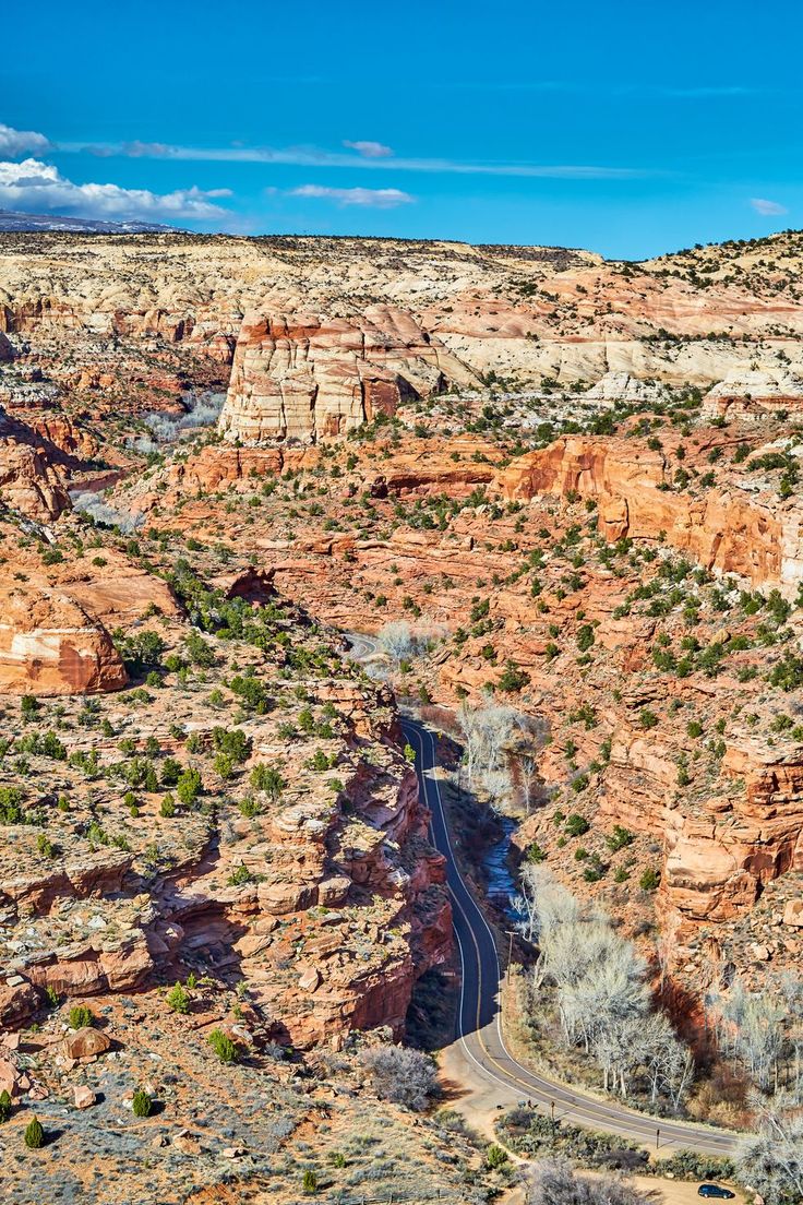 the road is surrounded by red rocks and green trees in the middle of the desert