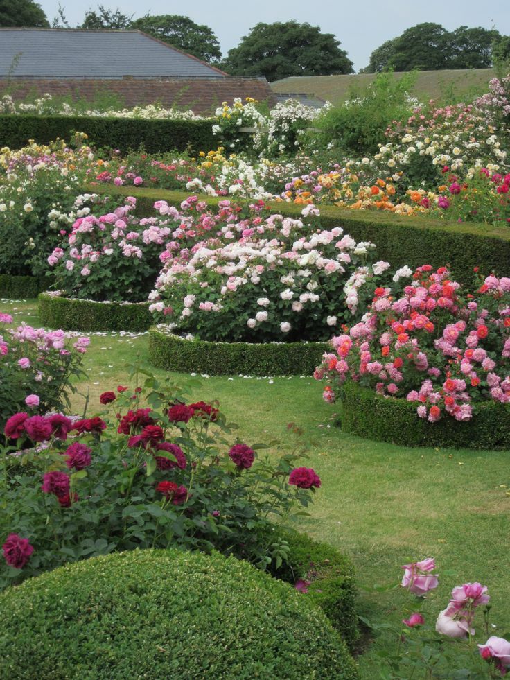 a garden filled with lots of flowers next to a lush green field covered in shrubbery