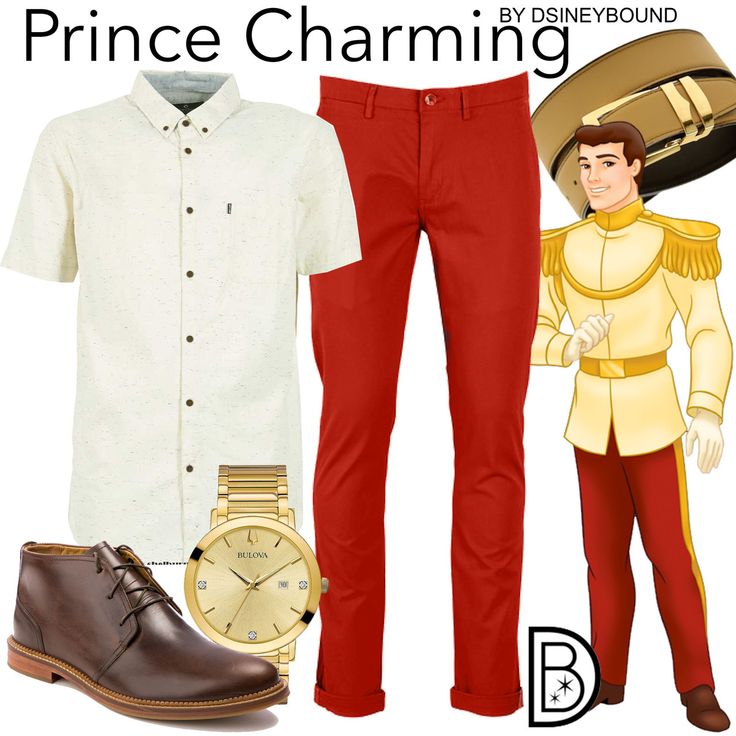 an image of prince charming costume for men