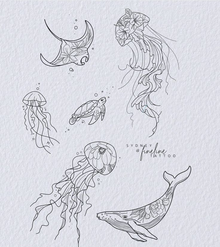 an ink drawing of jellyfish, squid, and sea horse swimming in the ocean