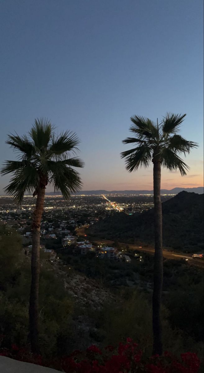 two palm trees in front of a city at night