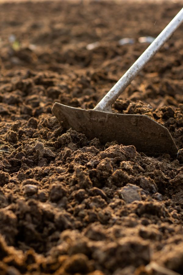 a shovel laying on top of a pile of dirt