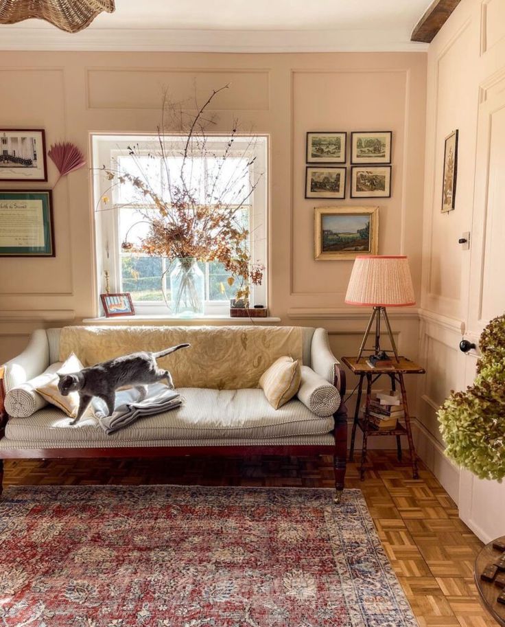 a dog laying on top of a couch in a living room next to a window