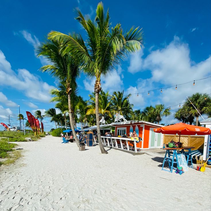 a beach with palm trees and chairs on the sand