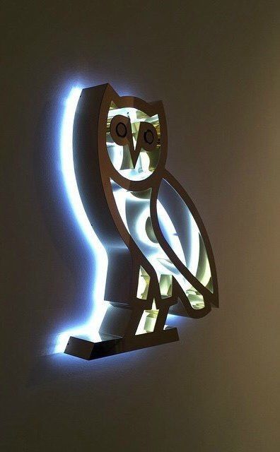 an owl shaped light is lit up on the wall