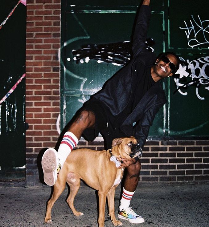 a man standing next to a dog on the street